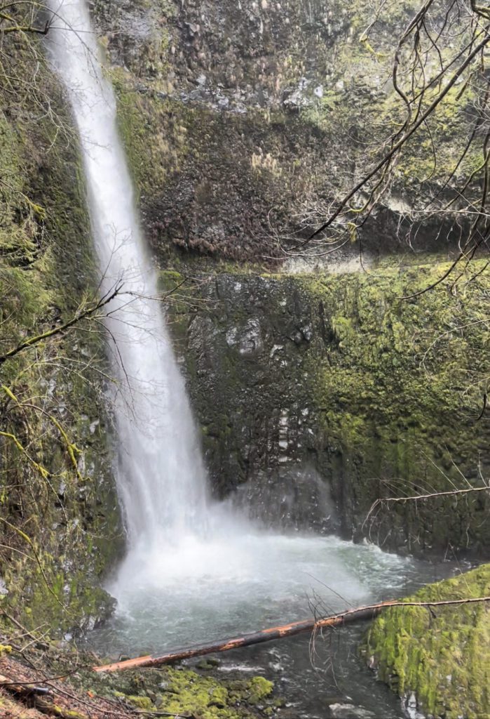 Acupuncture and hiking have synergetic effects on health.