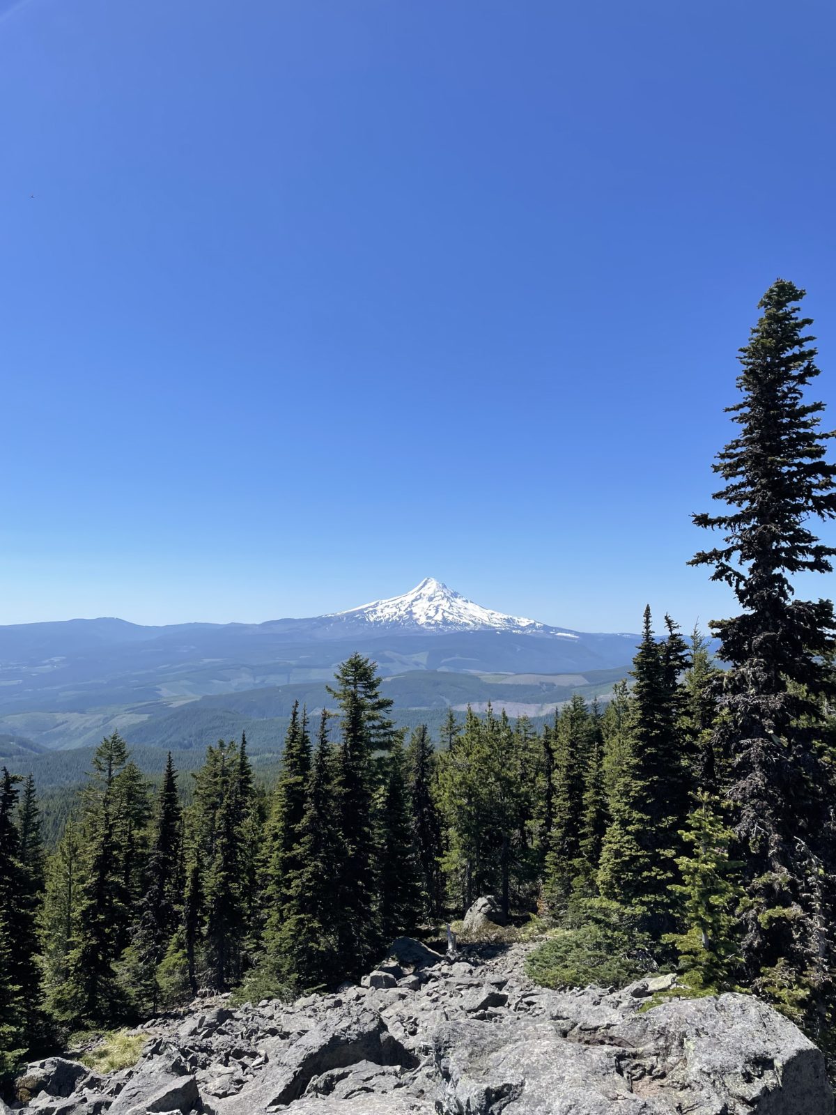 Mount Defiance trail in Oregon