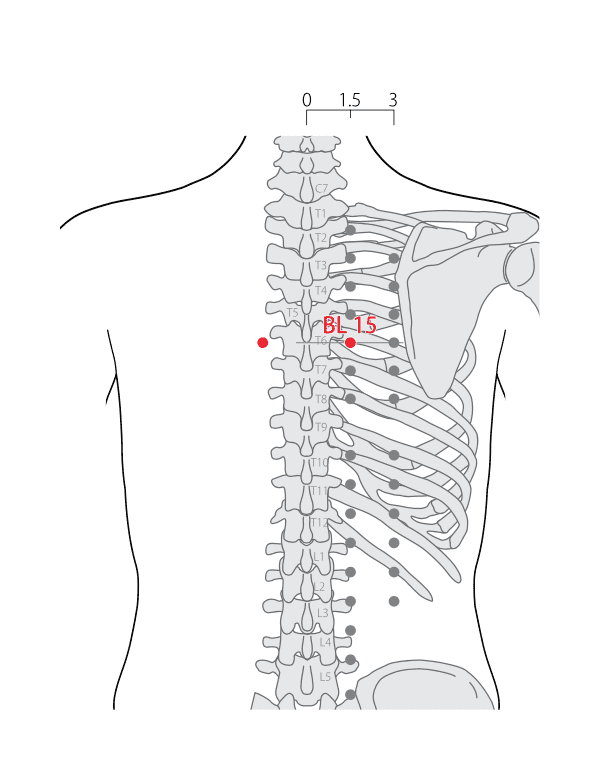 BL15