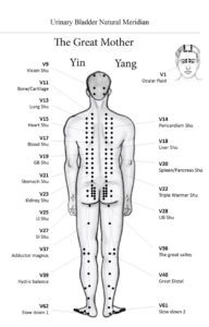 practical acupuncture points on BL meridian