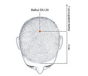 DU20 acupuncture point